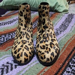 Steve Madden Leopard Print Calf Hair Ankle Booties